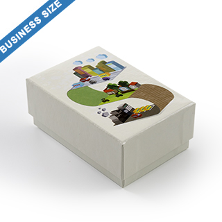 Custom Rigid Box For 200 Business Size Cards
